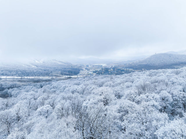 北大湖滑雪度假區 冰雪盛宴高山霧凇。