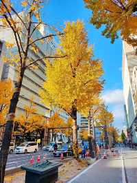 大阪景點｜期間限定｜御堂筋12月的日夜