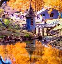 Discover the Charm of Saitama's Little Nordic