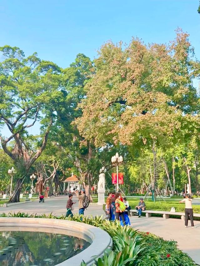 廣州人民公園楓葉手機直拍！真的已經紅了