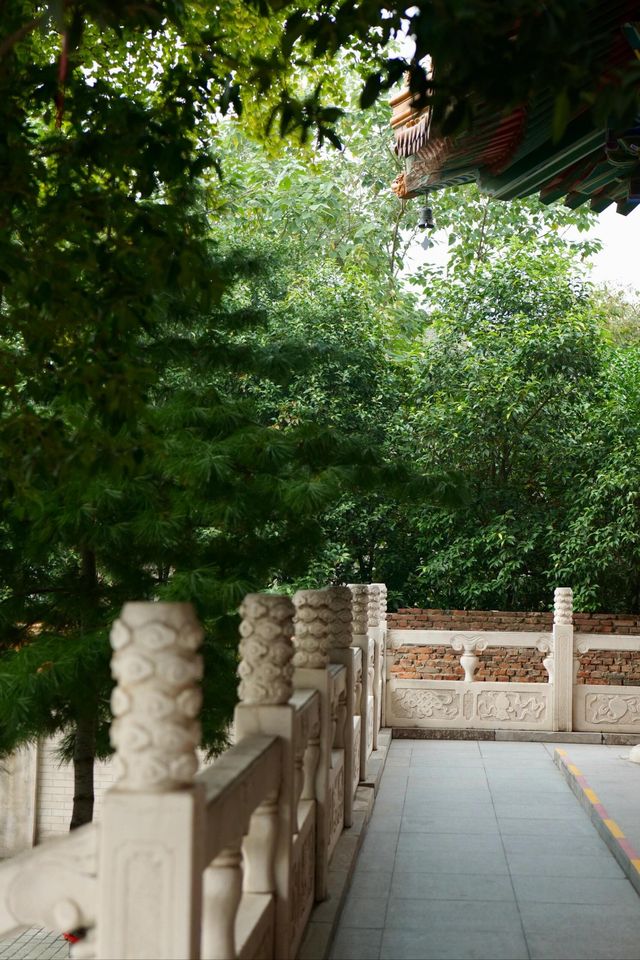 西五台雲居寺|鬧市中的寧靜古剎
