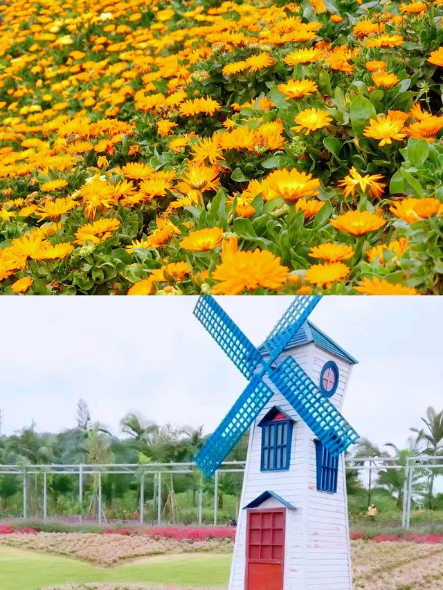 蜀南花海：夢幻之旅等你探索！