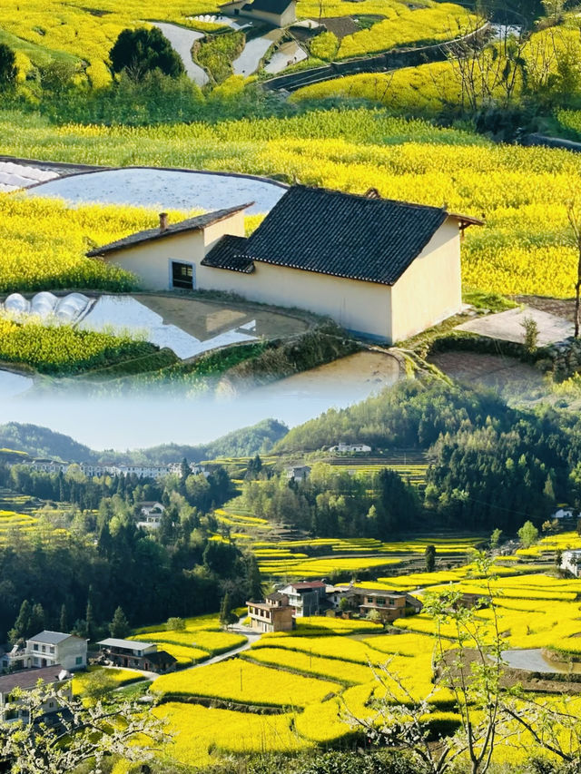 安康必去9大景點攻略   旅遊必看