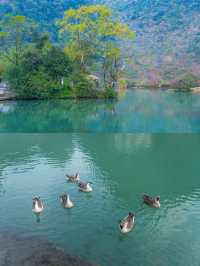 0元玩轉靖西｜旅行路上的風景，處處驚喜