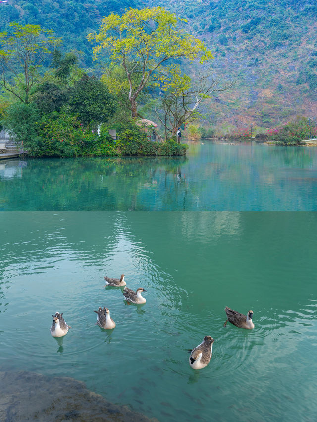 0元玩轉靖西｜旅行路上的風景，處處驚喜