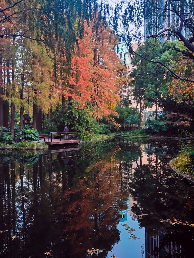 上海的莫奈花園