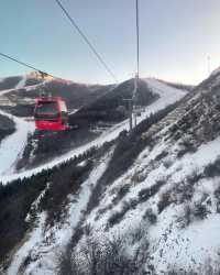 雪舞富龍，情迷四季小鎮