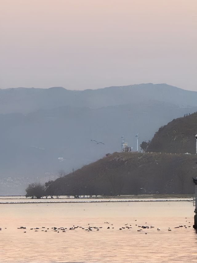 來麗江必住的雪山觀景度假民宿