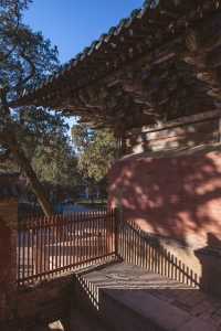 濟南旅行攻略，探秘冬日裡的千年古剎靈岩寺