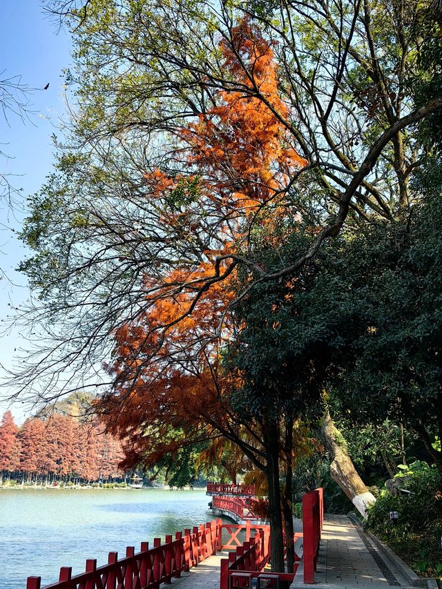 桂林桂湖