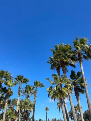 13-Day Tunisia and Multi-Country Tour Guide
