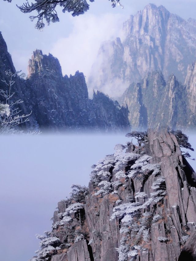 ！！冬天的黃山真是不一樣的人間仙境