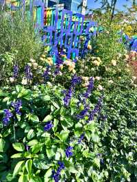 魔都新開免費無動力樂園4小時都玩不夠