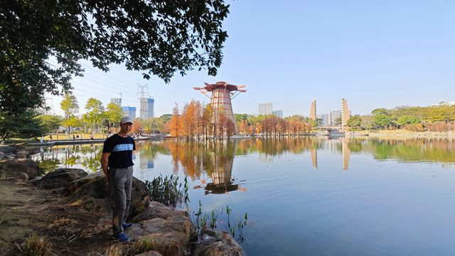 冬日千燈湖公園北區，不止有醉人的落羽杉