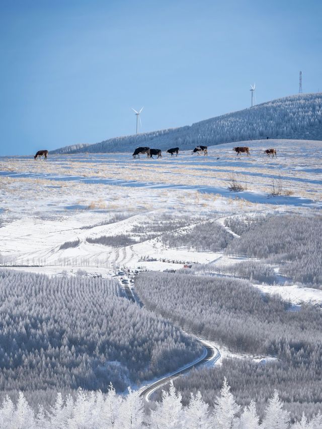 白雪、冰晶、霧凇、大風車，包你一個冬天不後悔！