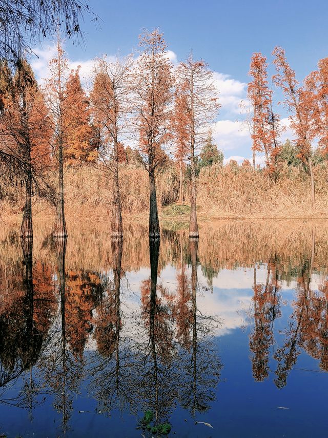 解鎖新年好心情-週末逛濕地公園