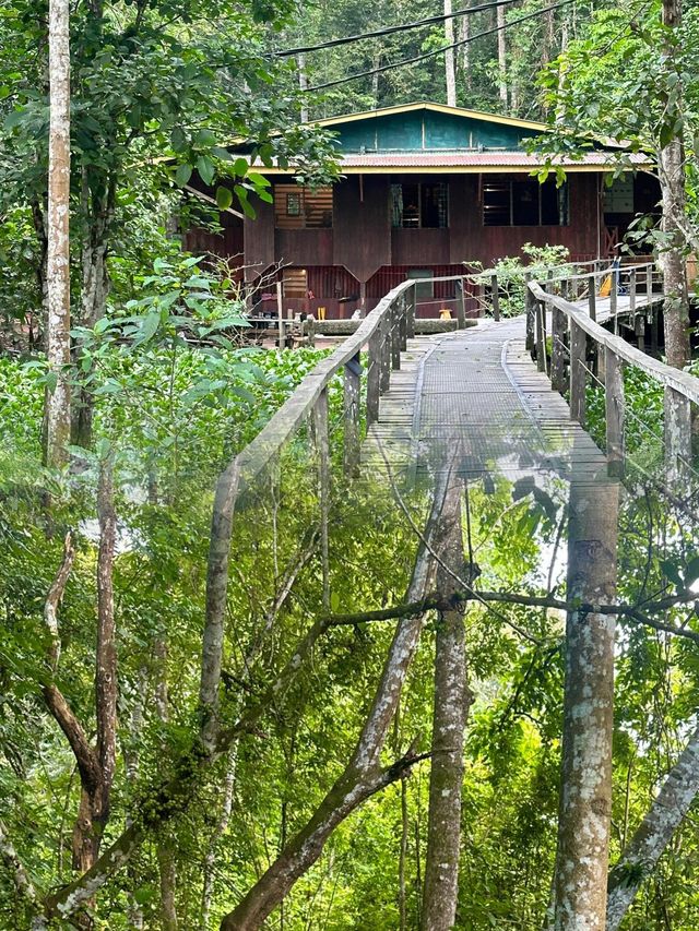 別只知道仙本那！山打根才是大馬遺珠
