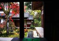 秋日秘境 | 日本小松·那谷寺的紅葉夢境