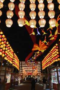 親測鐵像寺水街燈會真沒必要特地去
