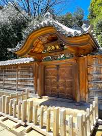 東京行程｜小石川後樂園與千鳥淵公園一日遊
