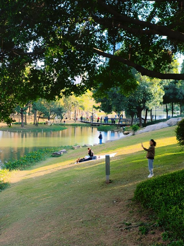 深圳好逛公園系列｜落羽杉草地和流水潺潺