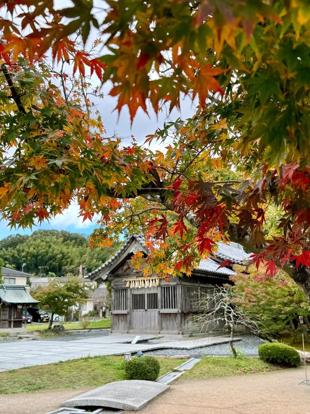 過年去日本玩6天 超全攻略來襲