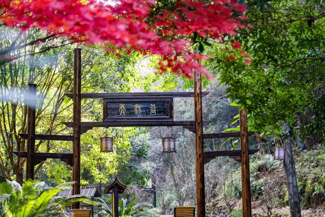 初春來宜春溫湯泡溫泉，超有Feel！