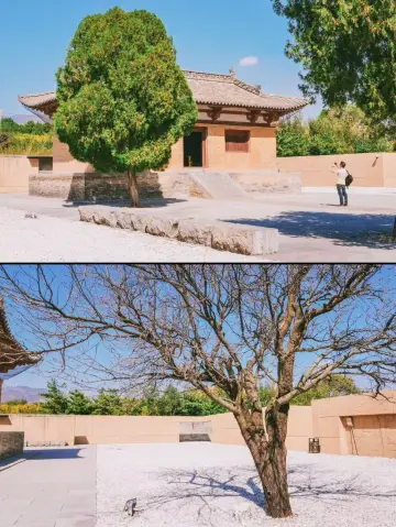 Shanxi's Hidden Gem | Guangrenwang Temple, Forgotten by Time