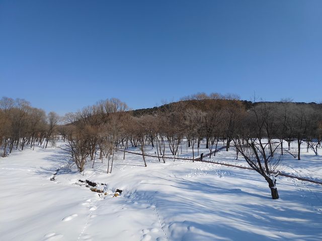 老百姓的後花園~~棋盤山風景區