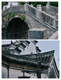 探秘寧波千年古鎮，鳴鶴之旅不負好時光