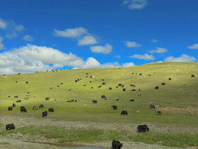 新疆旅遊｜人生是一場荒涼又熱烈的旅途