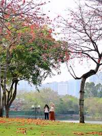 廈門南湖公園四季五彩繽紛，休閒好地方！