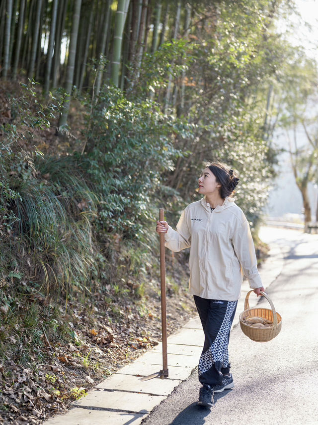 莫干山慢生活指南 | 逃離城市計劃