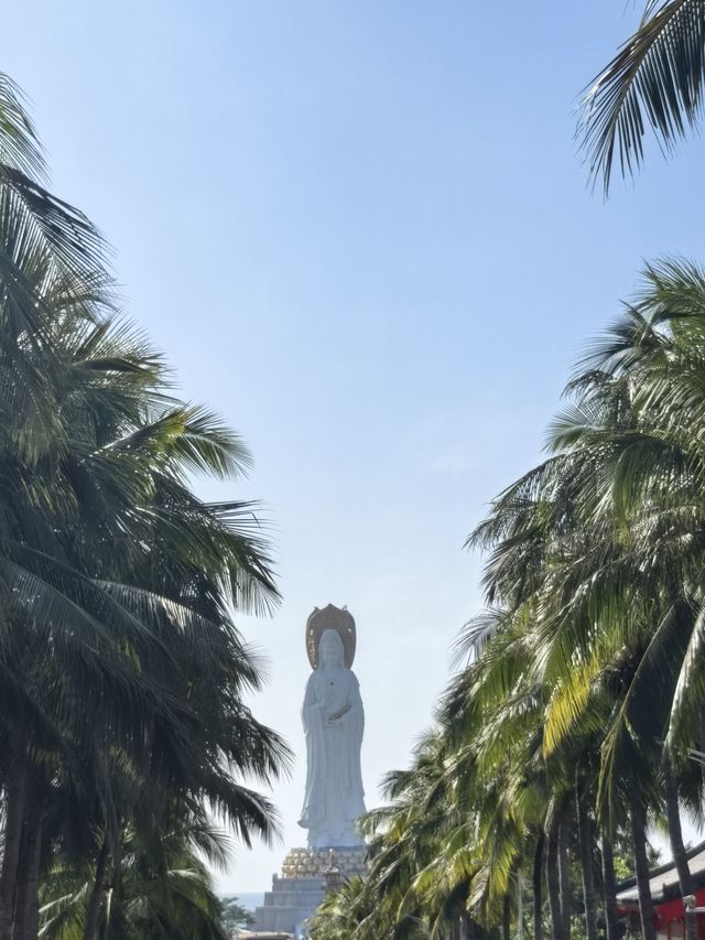 寒假去三亞 美哭別錯過這片天堂