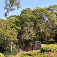 在忠侖公園賞花、閒談、散步、遛娃