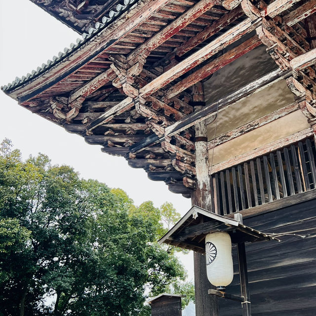 大阪周邊@奈良東大寺