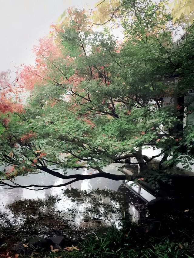 杭州市區旅遊攻略，當然要收藏