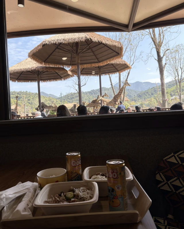 這不是清遠長隆，這裡是非洲