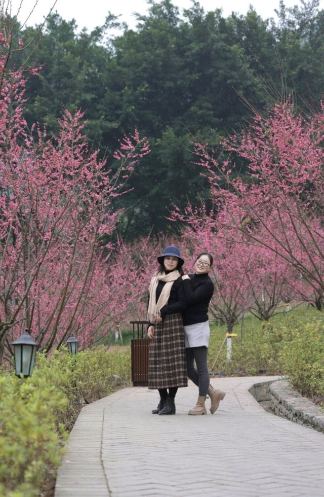 重慶 | 白公館紅梅林