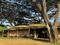 Lemala Ngorongoro Camp坦桑尼亞帳篷酒店