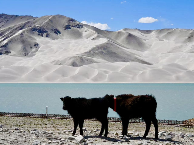 Finding Beauty in Barrenness: Hiking in Muztagh Glacier Park