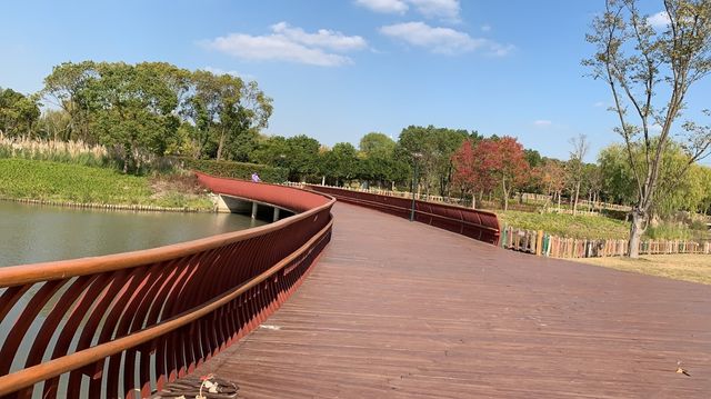 上海嘉北郊野公園嘅秋季遊記：金色稻田與田園風光