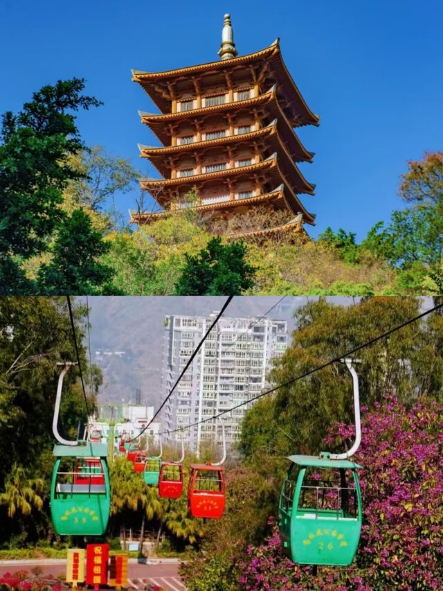 攀枝花已回，說說我的真實感受。