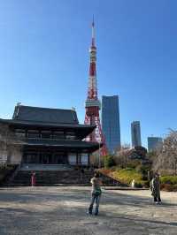 東京鐵塔｜經典紅白地標，東京街頭最佳風景 
