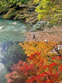 德島：小眾日本的隱世瑰寶