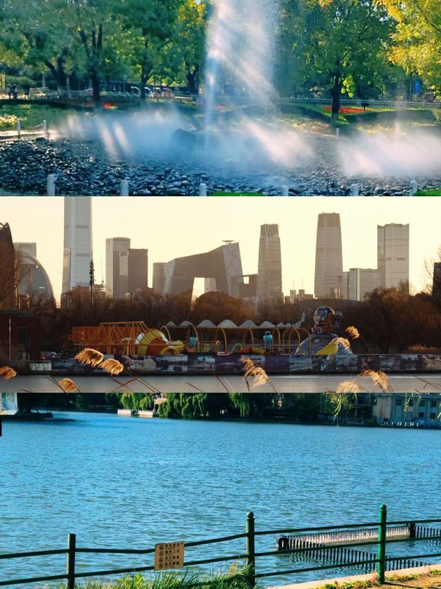 朝陽公園隱藏的秘境，99% 的遊客都錯過？