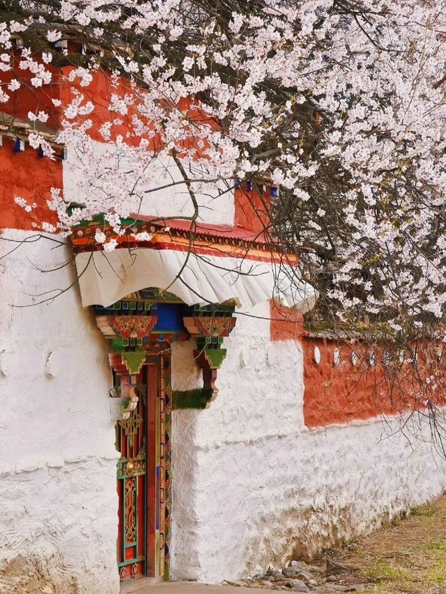 小長假林芝-昌都 發現人間仙境的自然山水盛宴
