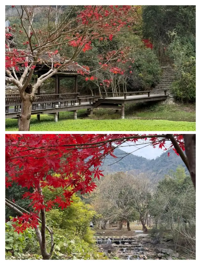 장시성의 숨겨진 온천, 한 번 담그면 사랑에 빠지다.