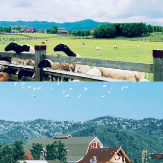 Three Days and Two Nights in Pingxiang, Jiangxi Province