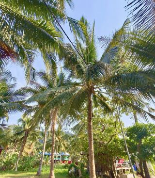 Ha Tien, Vietnam | Discover the Serenity of a Hidden Coastal Gem